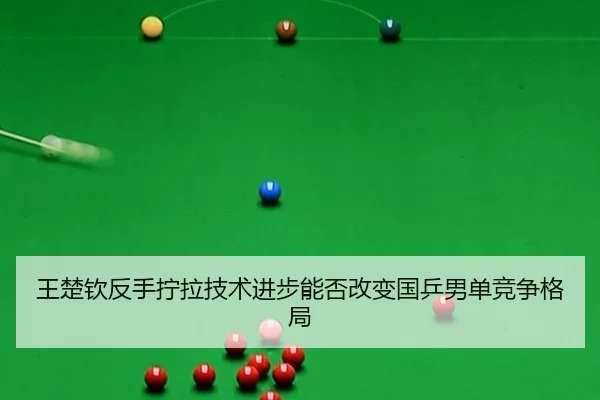 wang-chu-qin-fan-shou-ning-la-ji-shu-jin-bu-neng-fou-gai-bian-guo-ping-nan-dan-jing-zheng-ge-ju-2-123.jpg
