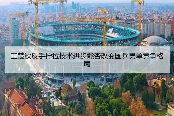 wang-chu-qin-fan-shou-ning-la-ji-shu-jin-bu-neng-fou-gai-bian-guo-ping-nan-dan-jing-zheng-ge-ju-1-830.jpg