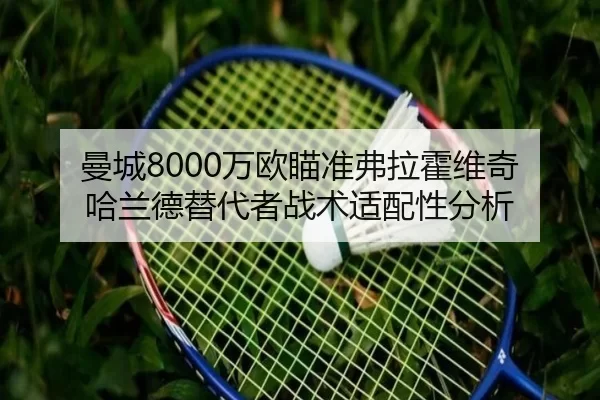 man-cheng-wan-ou-miao-zhun-fu-la-huo-wei-qi-ha-lan-de-ti-dai-zhe-zhan-shu-shi-pei-xing-fen-xi-2-934.jpg
