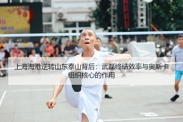 shang-hai-hai-gang-ni-zhuan-shan-dong-tai-shan-bei-hou-wu-lei-zhong-jie-xiao-lv-yu-ao-si-ka-zu-zhi-he-xin-de-zuo-yong-2-375.jpg